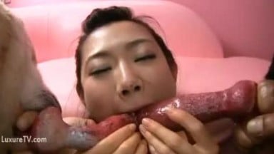Slutty Japanese student zoophilia Glory Quest