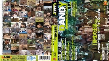 [破解版]DANDY-462