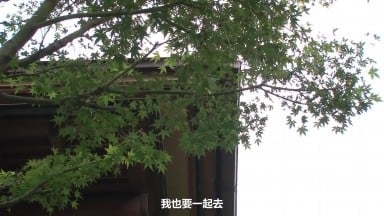 MIDA 282 (中文字幕) 妻子回娘家3天，對發育成熟到可以吃的巨乳繼女，累積一輩子的做愛份量。 櫻柚乃