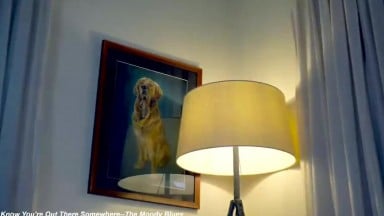 Huge white soft tits on beautiful cammer   x lily x 13